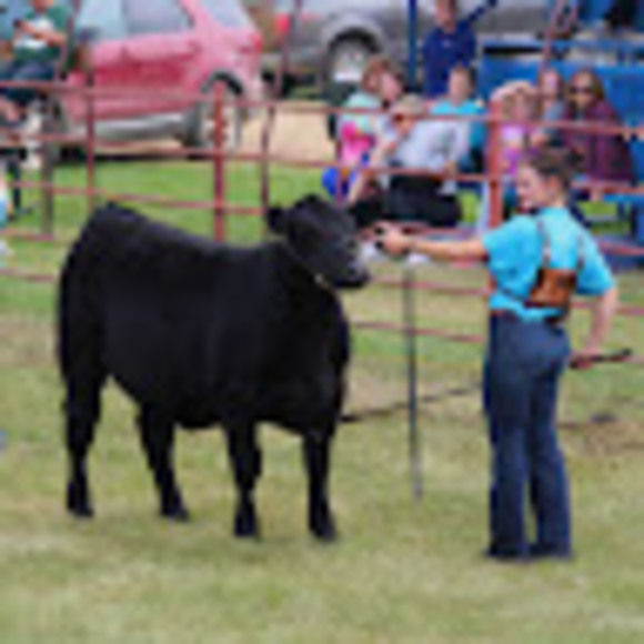 gentry_schmidt